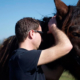 Soigner Autrement - Une autre approche du cheval et de ses pathologies